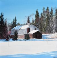 Blanketed In Snow by Colleen Sobkovich