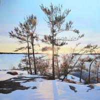 Georgian Bay Pines At Sunset by Colleen Sobkovich