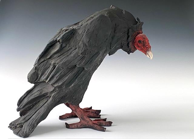 Crouching Turkey Vulture by Mary Philpott