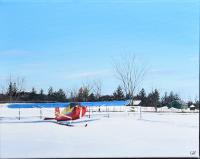 15th Sideroad Plane by Colleen Sobkovich