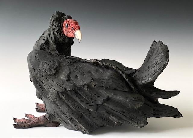 Turkey Vulture Resting by Mary Philpott