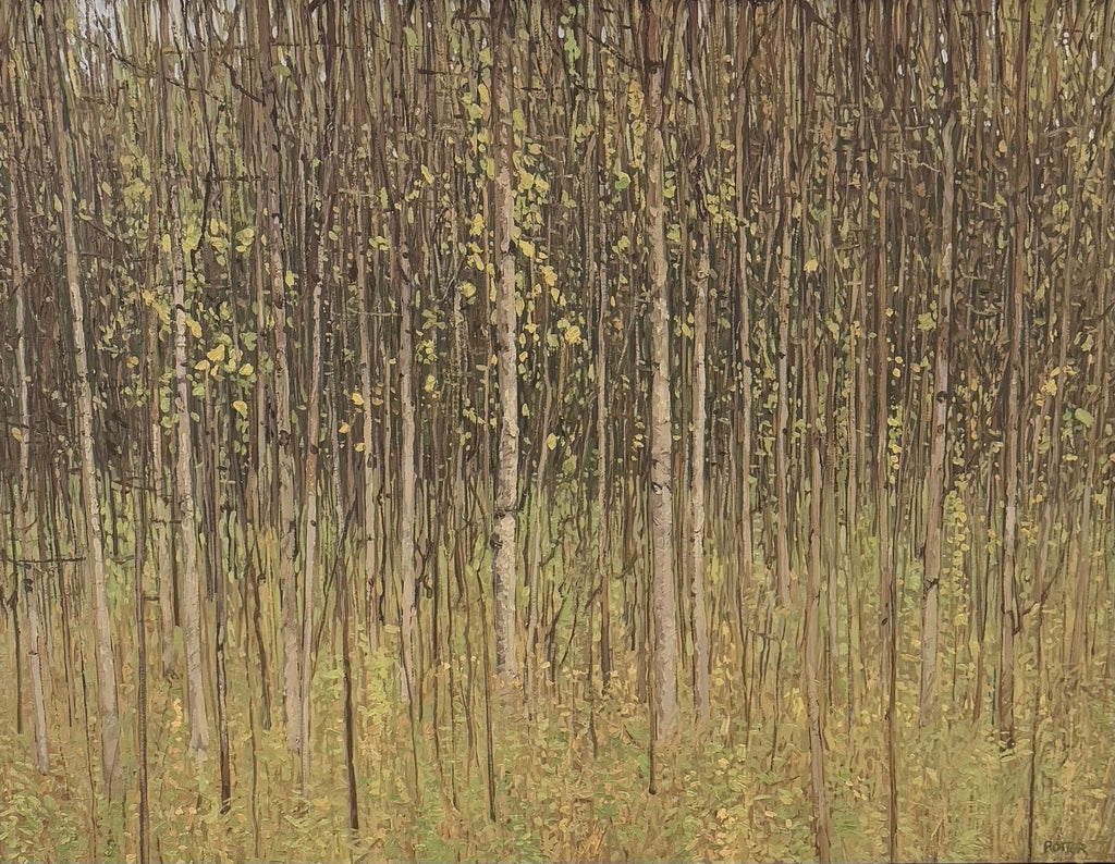 Spring Greens by Peter Rotter