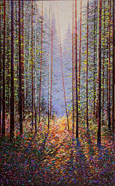 Forest Light by Jack Zhou