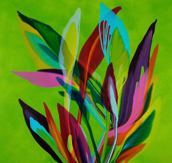 Bloom In Paridise by Brooke Palmer