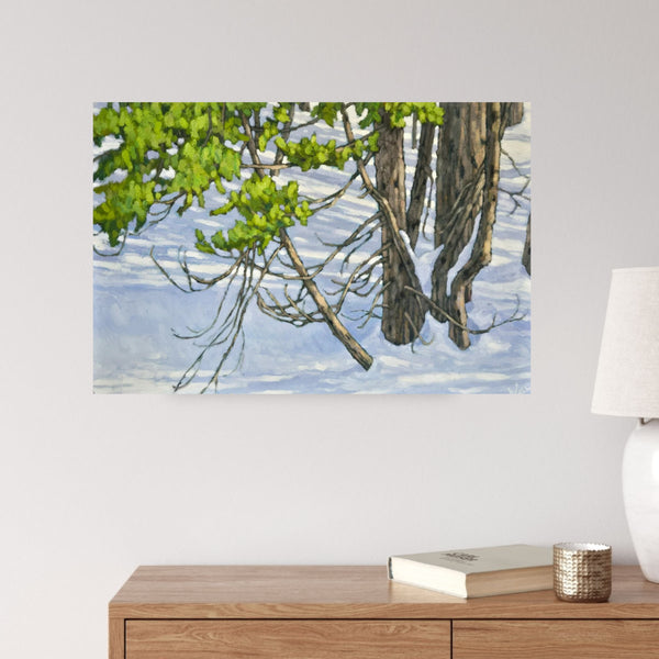 Twisted Cedars by Bryan Wall in situ