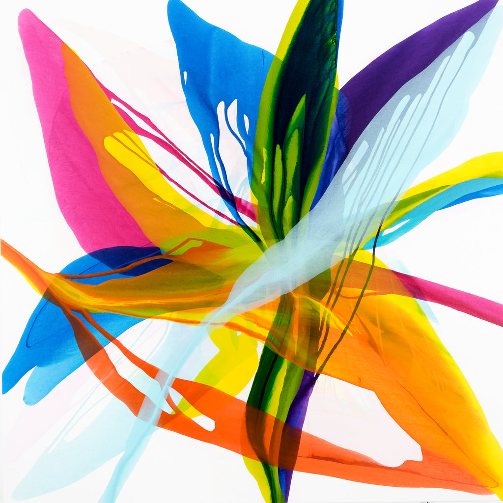 Cascading Miracles by Brooke Palmer