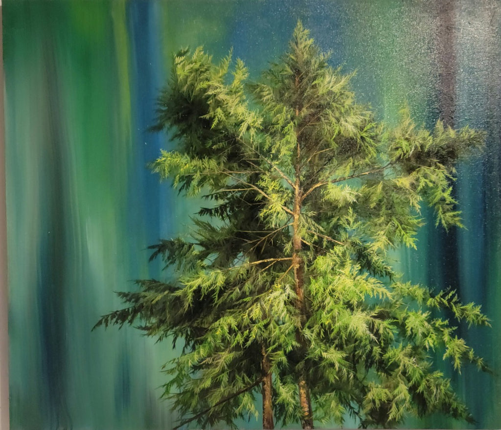 Fir Tree by Richard Cole