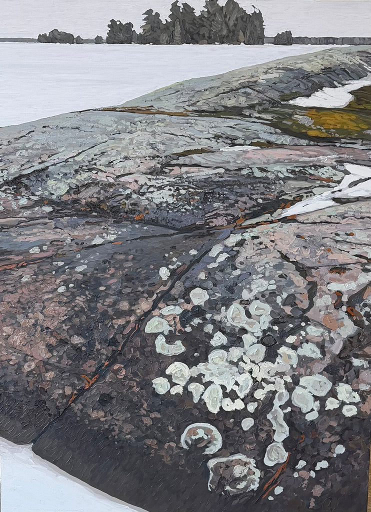 Canadian Shield by Peter Rotter