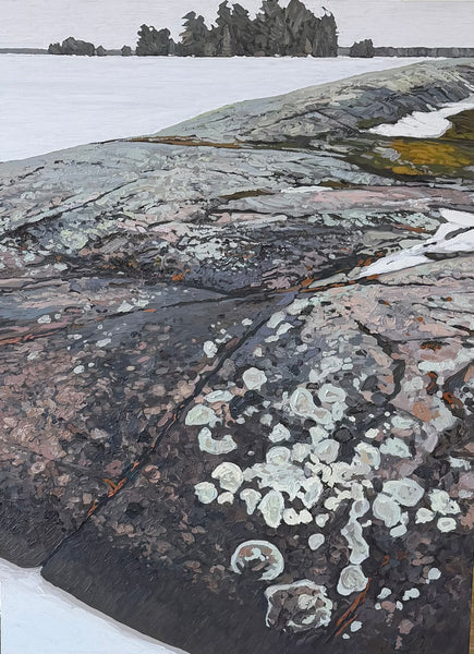 Canadian Shield by Peter Rotter