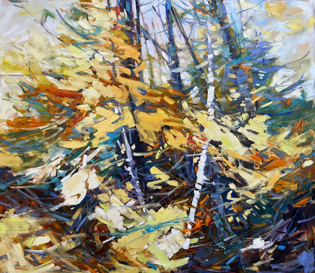 Riding the Light by Sheila Davis