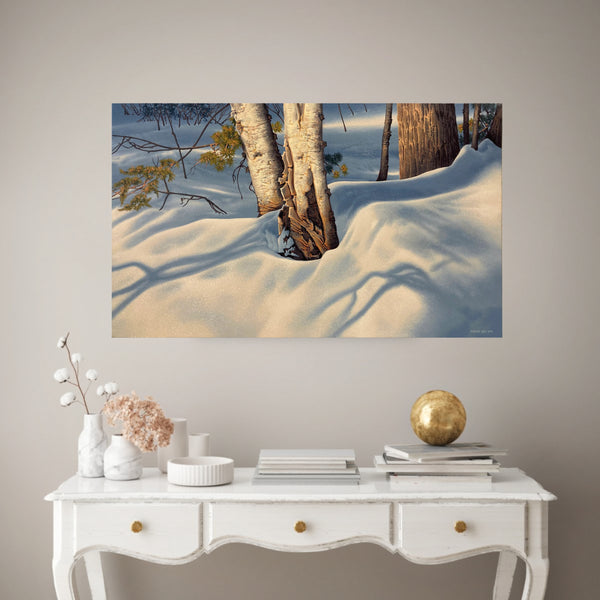 Winter Birches At Killarney by Robert Ross in situ