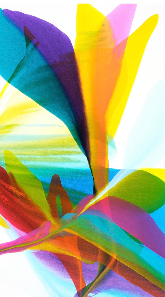 Reaching For Sunlight (Framed) by Brooke Palmer