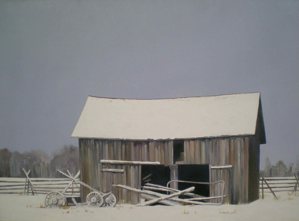 Drive Shed In Winter by Brigitte Nowak