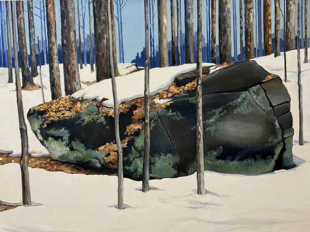 Erratic by Brigitte Nowak