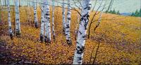 Birch Forest by Jack Zhou