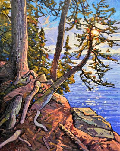 Enduring Pine In Algonquin by Ryan Sobkovich