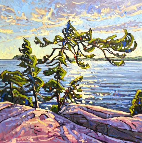 Windswept Pines On Georgian Bay by Ryan Sobkovich