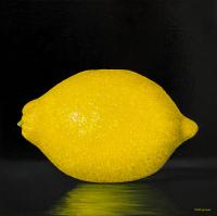 Lemon by Joanne Helman
