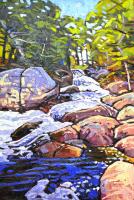 Roaring Rapids, Sturgeon River by Ryan Sobkovich