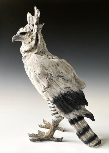 Harpy Eagle by Mary Philpott
