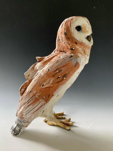 Barn Owl 2 by Mary Philpott