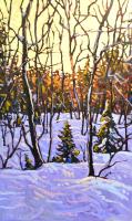 December In the Woods by Ryan Sobkovich