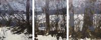 Winter Series - Harmonious Alliance (Triptych) by Judy Willemsma