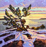 Windswept Pine In January by Ryan Sobkovich