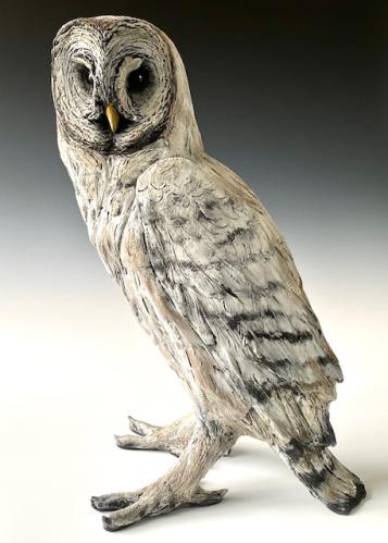 Great Grey Owl by Mary Philpott